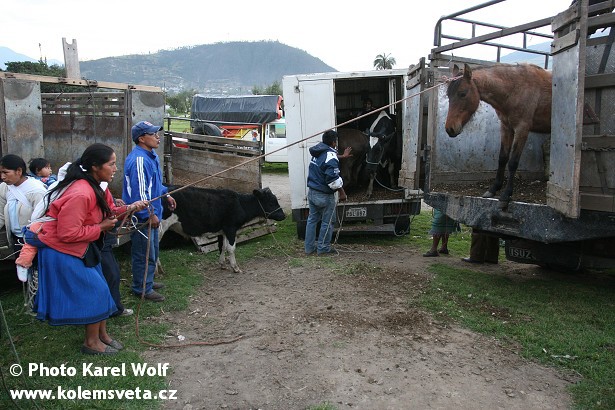 6-Otavalo (11).jpg